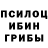 Галлюциногенные грибы прущие грибы Bertold Goltz