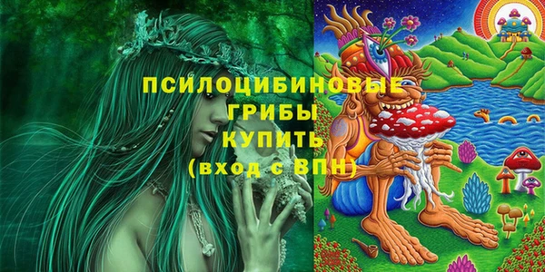 МДМА Арсеньев
