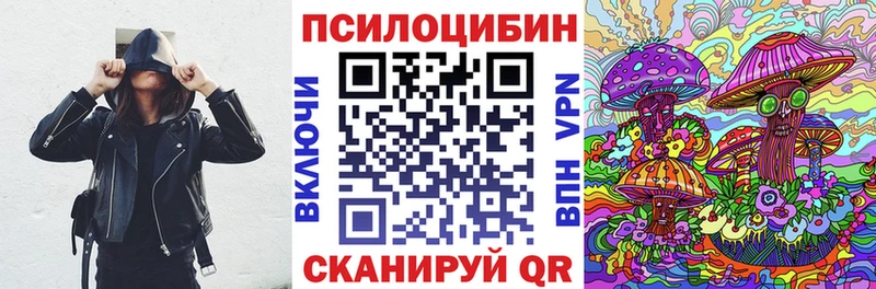 наркота  Могоча  Псилоцибиновые грибы Psilocybe 